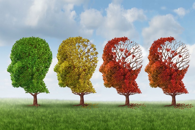New Research Directions Aim to Aid Alzheimer’s Disease Treatment and Prevention