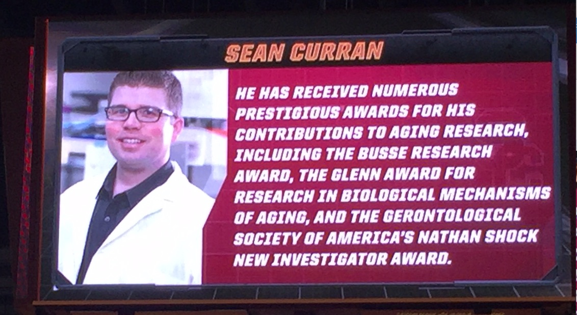 Sean Curran Honored for Faculty Achievements