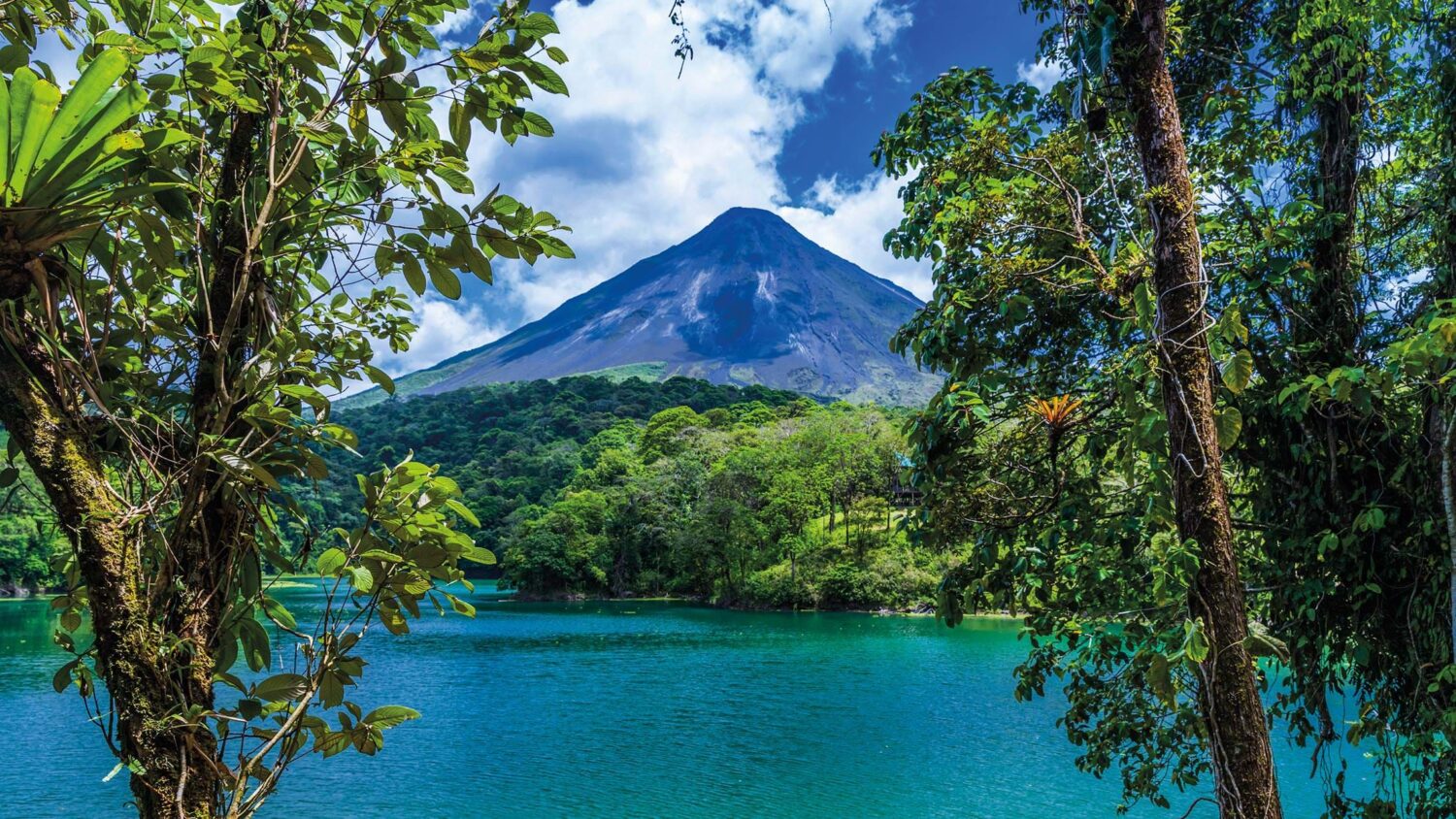 Tropical vegetation and ocean views of Costa Rica