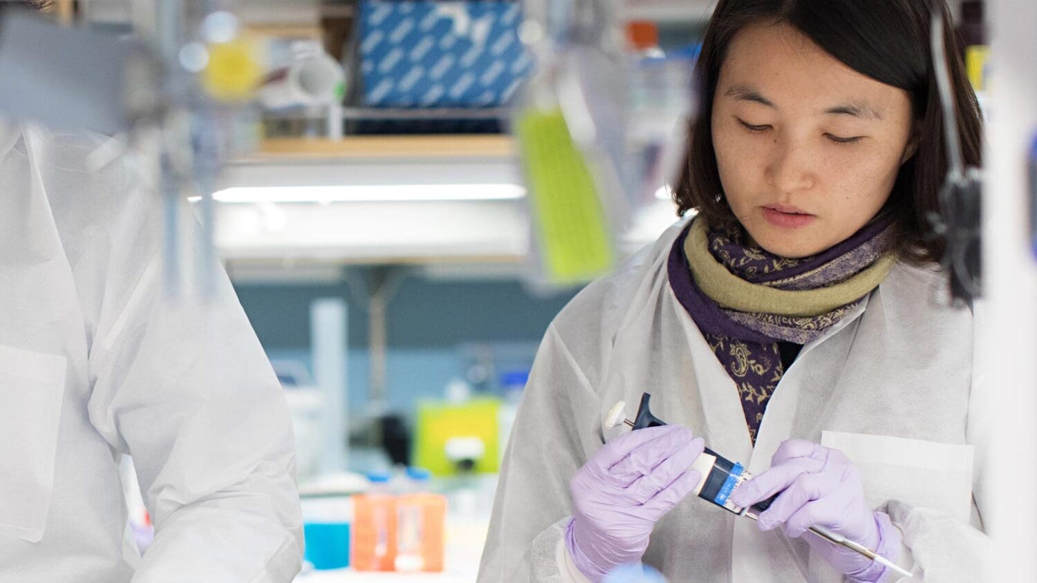 Two researchers in lab attire and gloves collaborating in a lab