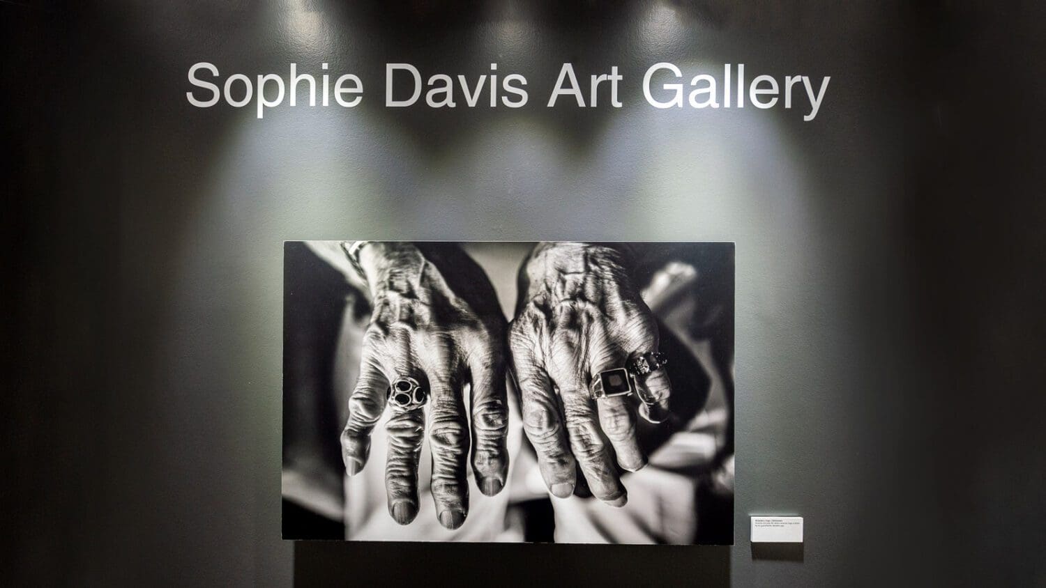 Sophia Davis Art Gallery wall showing black and white photo exhibit