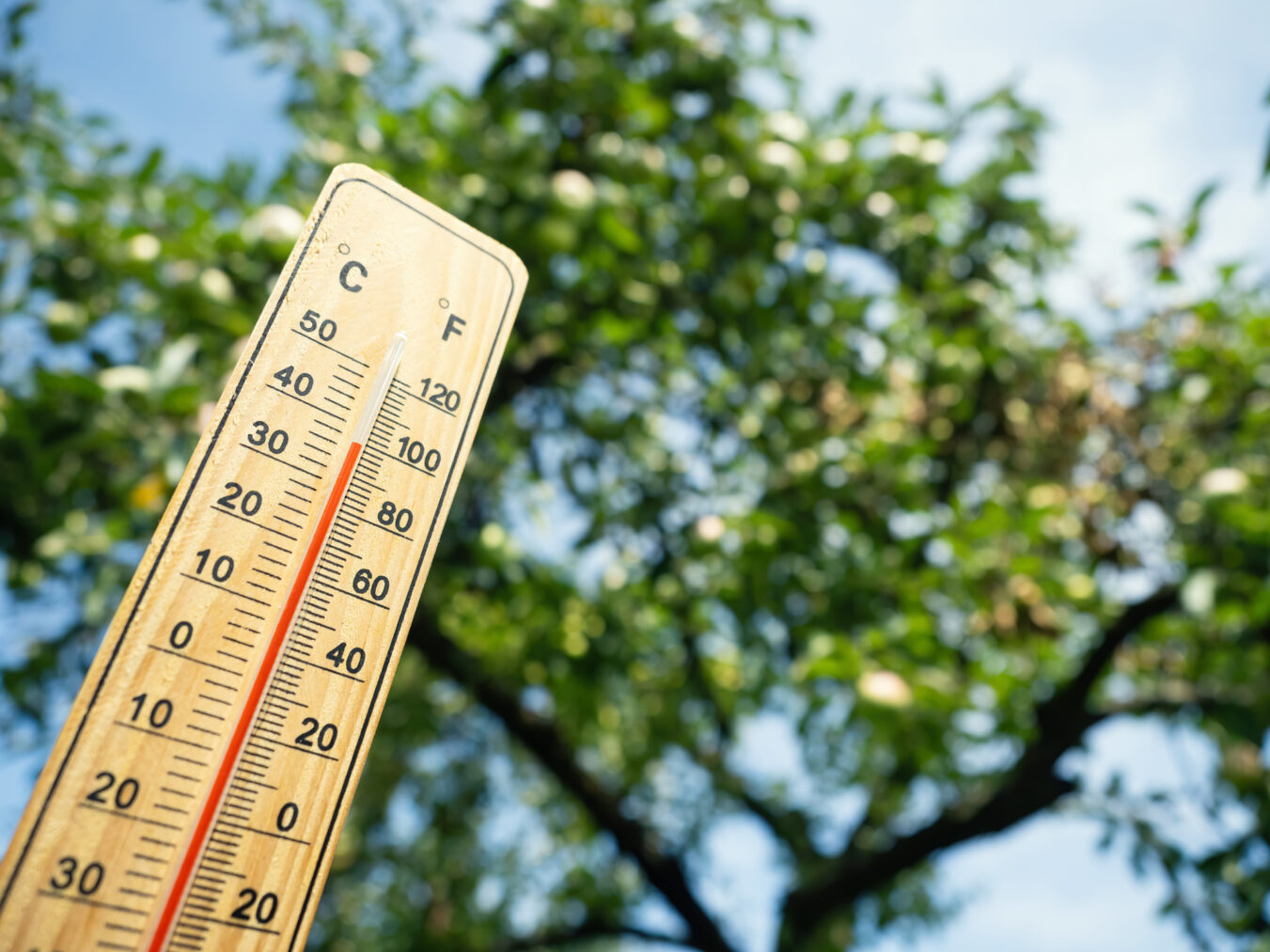 Wooden thermometer showing high temperature on sunny day