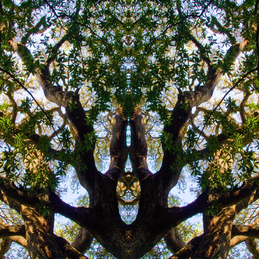 Photography from Gail Horvath's 2025 Sophie Davis Gallery exhibit "Through the Looking Glass"