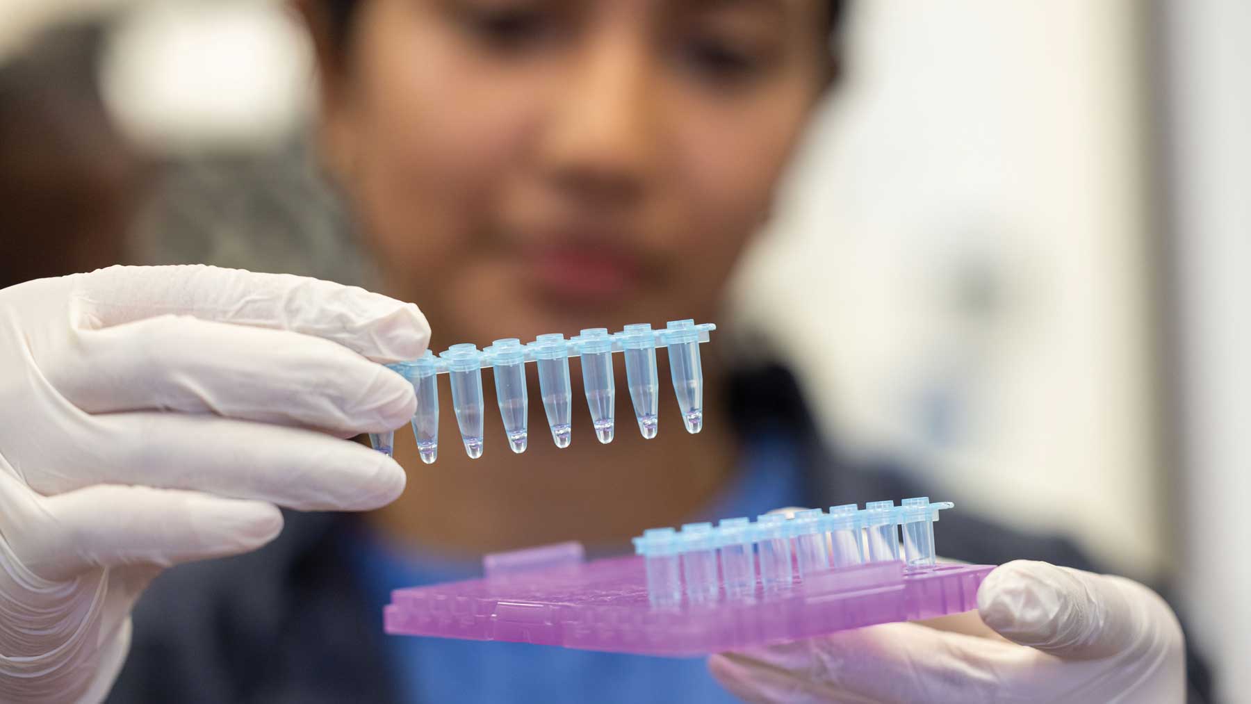 GEMSTEM scholar Vandita Gorla working with pipette in a lab